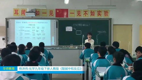 華師公益直播回顧 品牌教師精品課展示 化學九年級下冊人教版 酸堿中和反應(yīng)