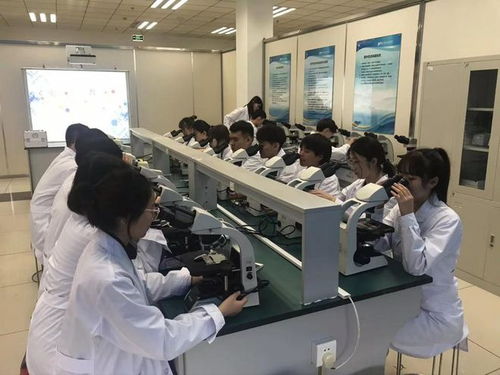 哈爾濱職業技術大學正式獲批設立